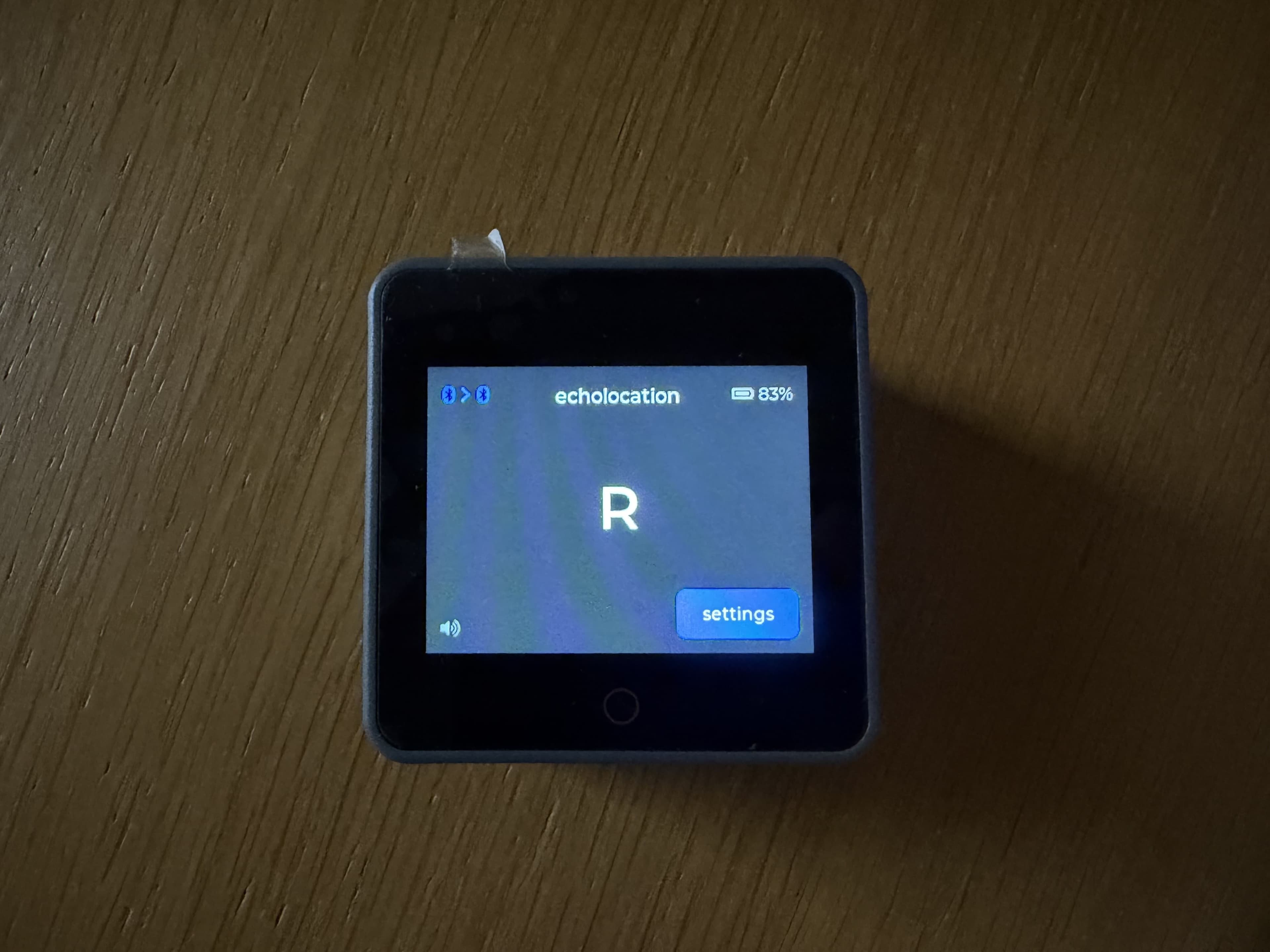 echolocation showing a large R on screen, with Bluetooth keyboard and computer connected
