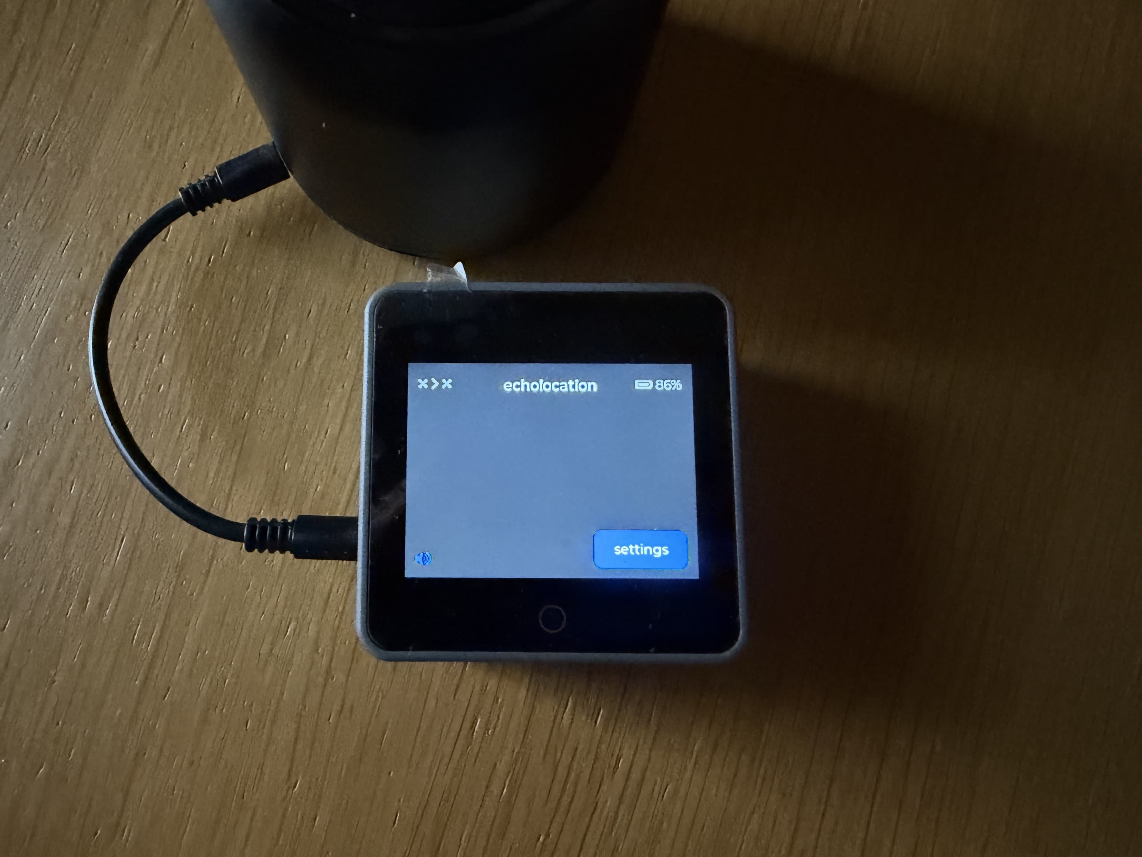 echolocation screen indicating audio is going to an external speaker