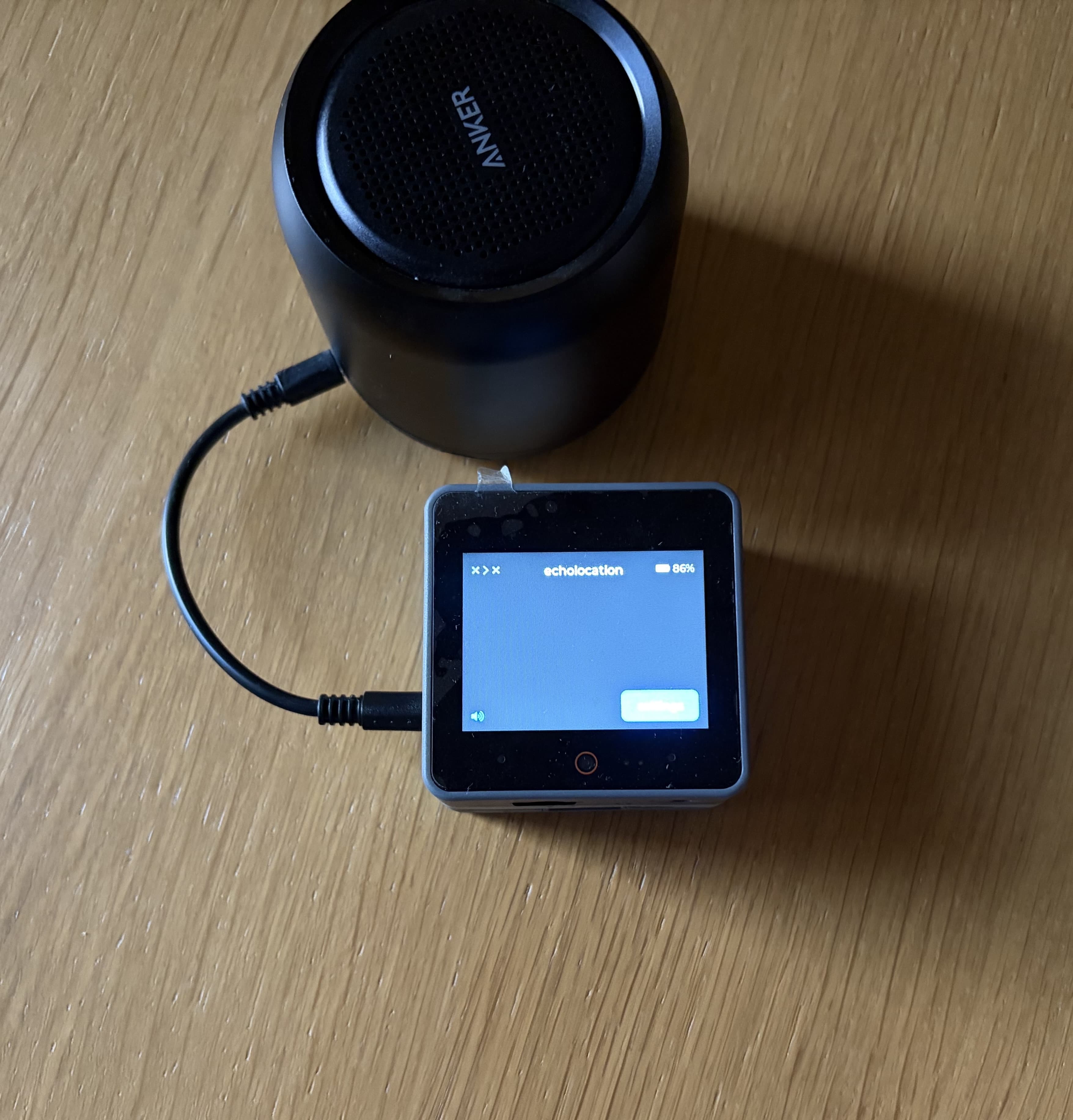 echolocation with speaker audio settings on screen